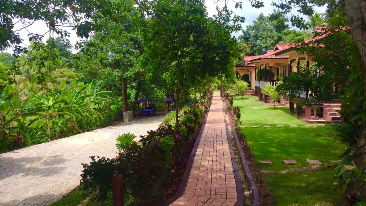 Hill Garden Hotel Чаунгта Екстериор снимка